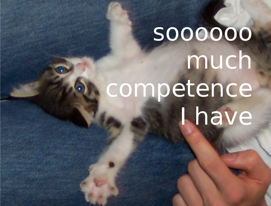 Competence-Cat hat es raus! Quelle: Sash